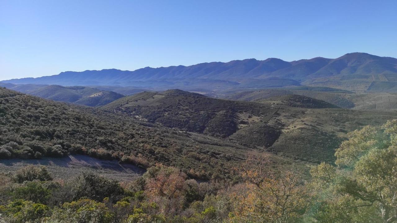 Casa Rural La Colmena Del Geoparque Navatrasierra Buitenkant foto