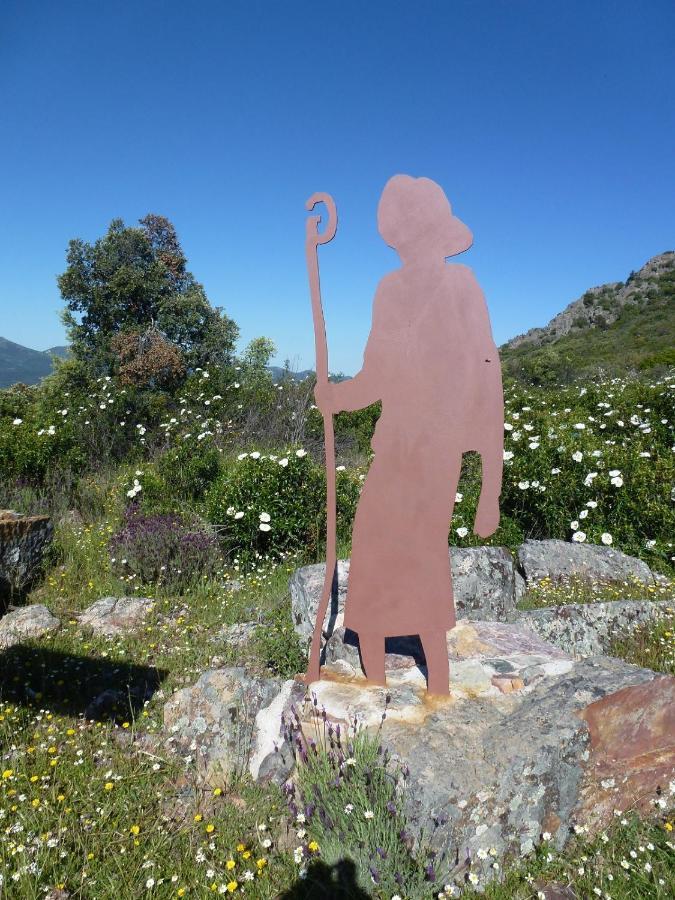 Casa Rural La Colmena Del Geoparque Navatrasierra Buitenkant foto