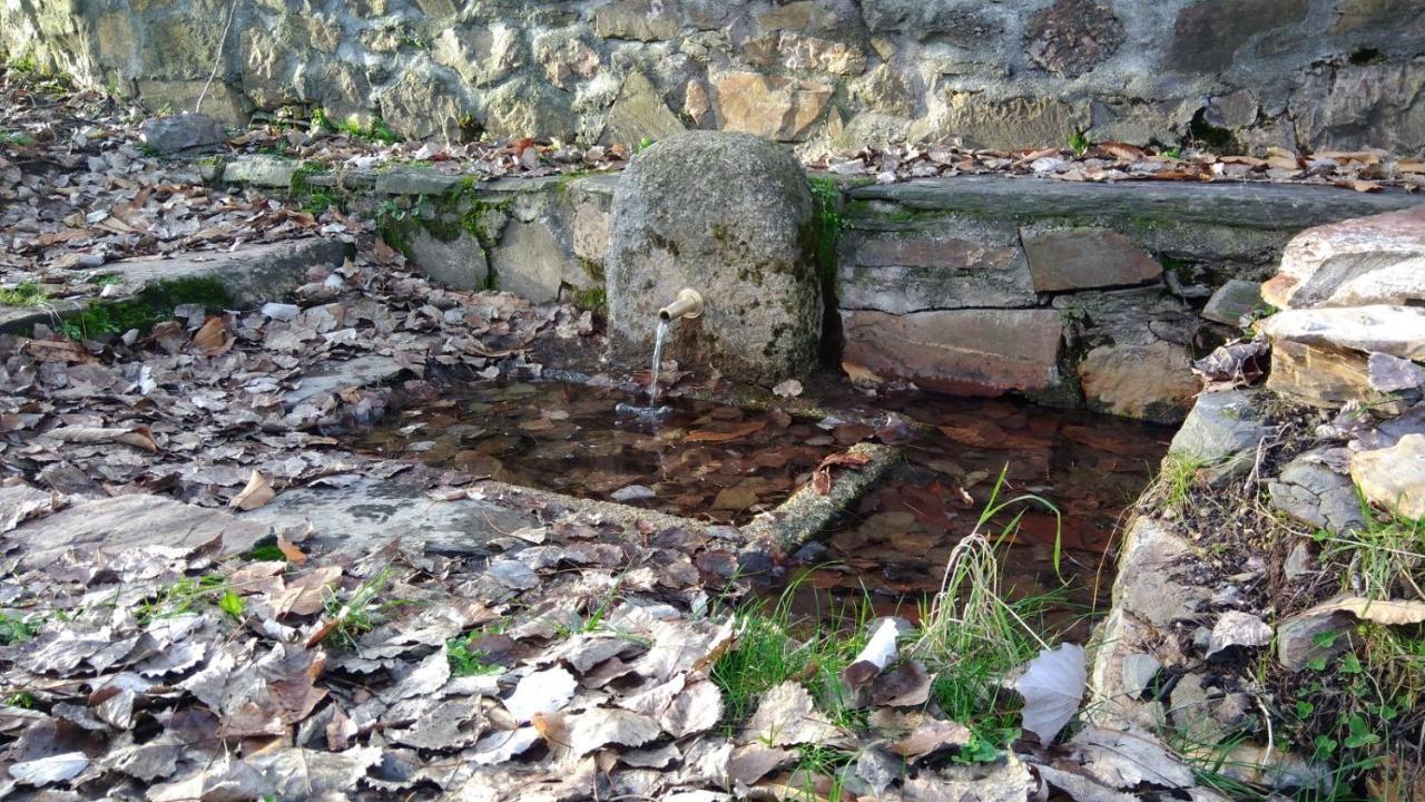 Casa Rural La Colmena Del Geoparque Navatrasierra Buitenkant foto